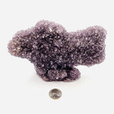 Amethyst Cluster
