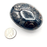 3” Black Opal Palmstone- Morocco