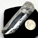 Powerful Colombian Lemurian Clear Point