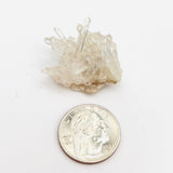 Small Needlepoint Columbian Lemurian Cluster