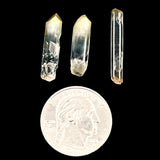 Columbian Lemurian Points- Rare Mango Tip
