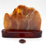 Agate Slice w/ Druzy in Custom Wood Stand