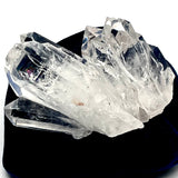 Powerful Colombian Lemurian Clear Cluster