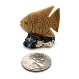 Stone Animal Fish Carvings