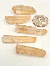 Golden Healer Lemurian Points