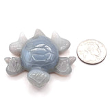 Blue Druzy Agate Turtle Animal Carving