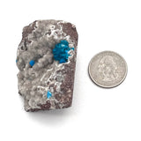 Cavensite