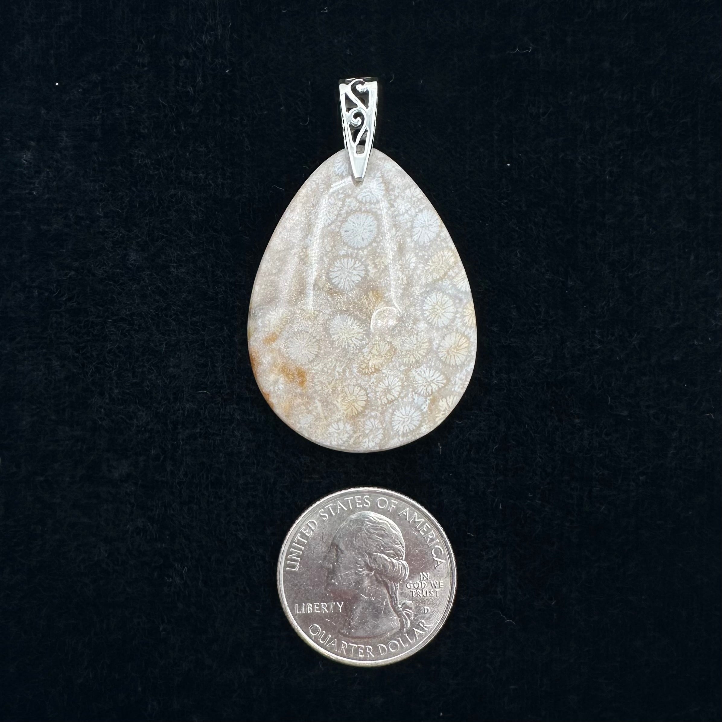Fossilized Coral Pendant