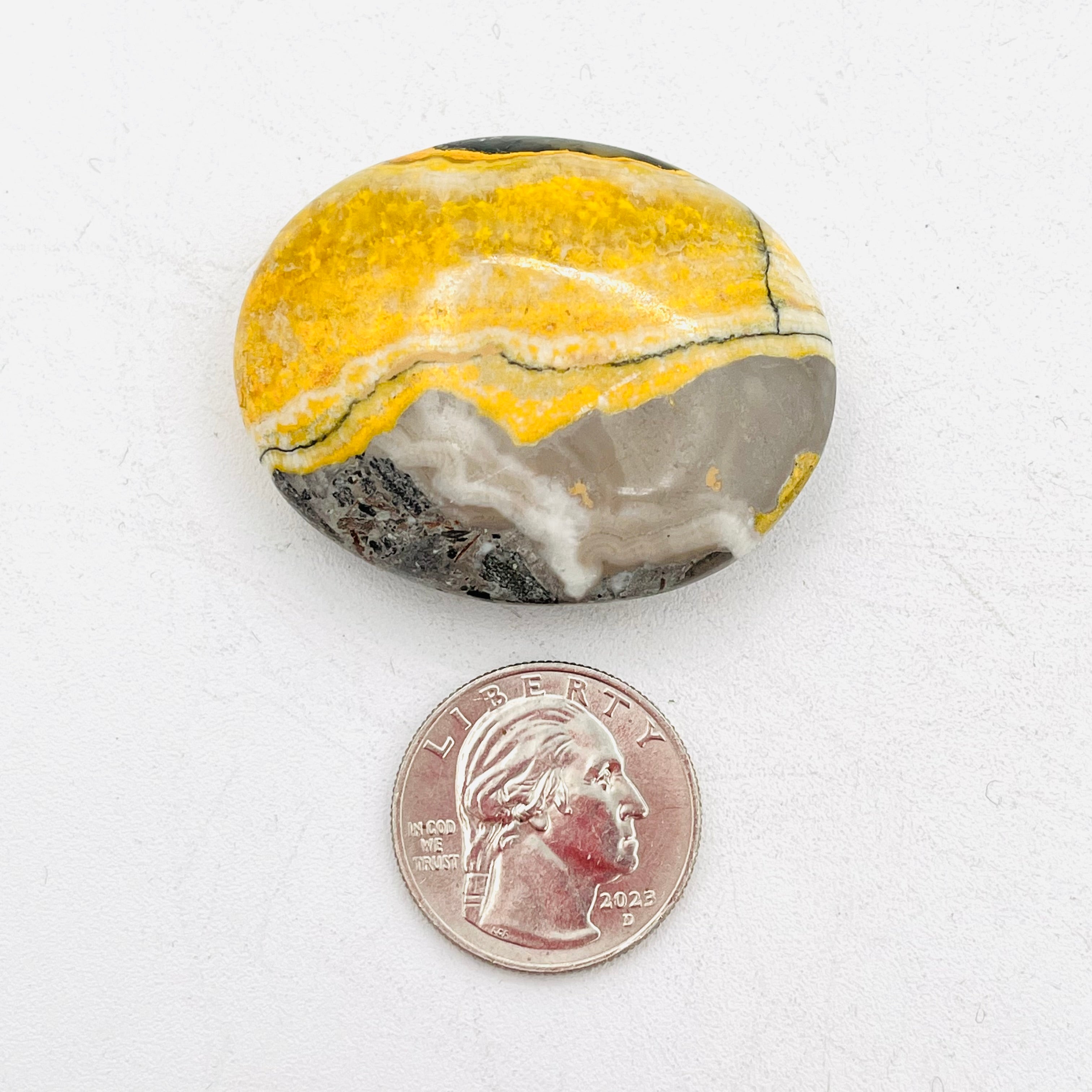 Bumble Bee Jasper Palm Stone