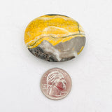 Bumble Bee Jasper Palm Stone