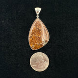 Fossilized Coral Pendant