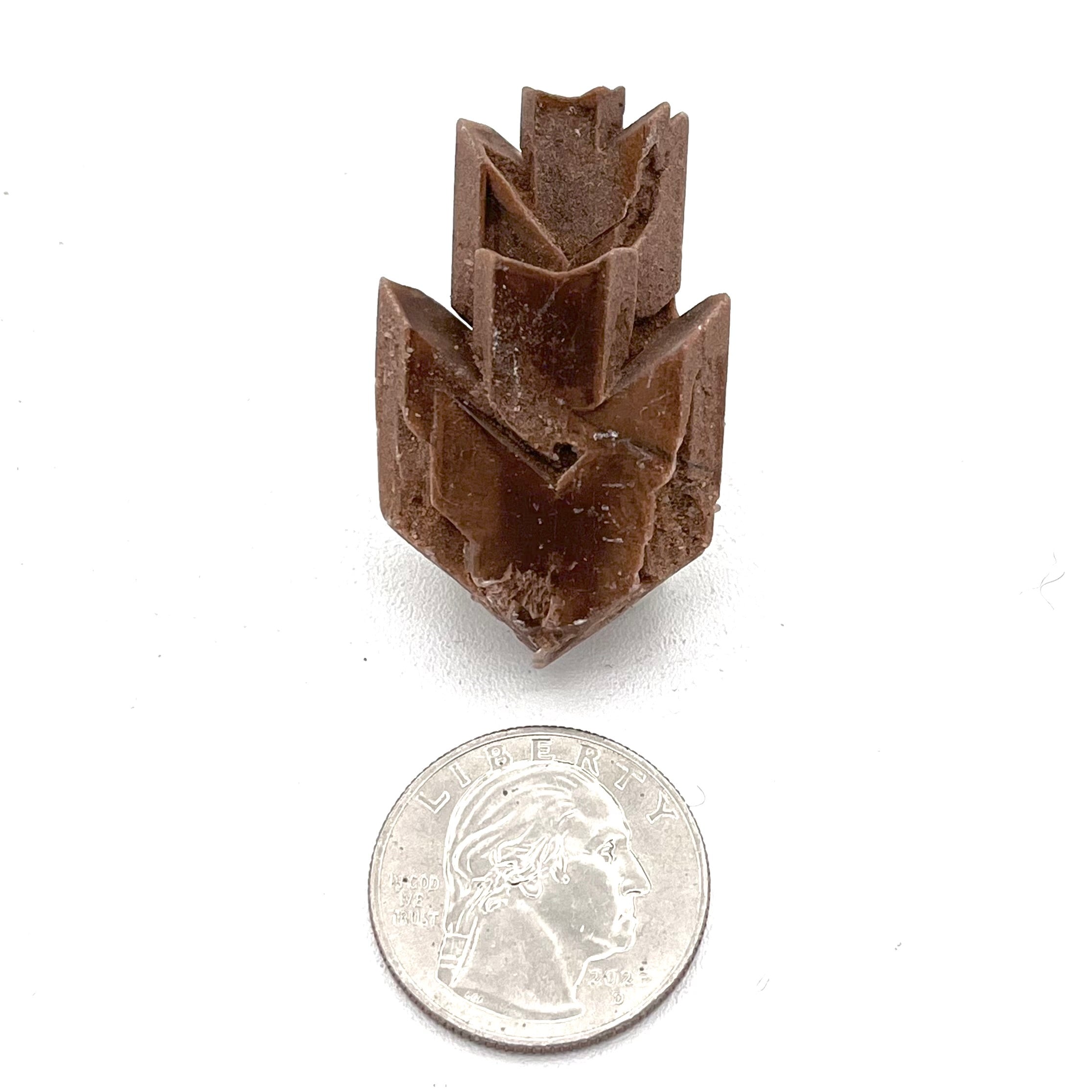 Gypsum Variety Selenite- Great Salt Plains Oklahoma