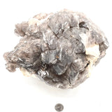 Exquisite Smoky Elestial w/ Trigonics, Mica, Feldspar & Calcite