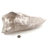 Exquisite Light Smoky Elestial Quartz, Unique Formation & Growth