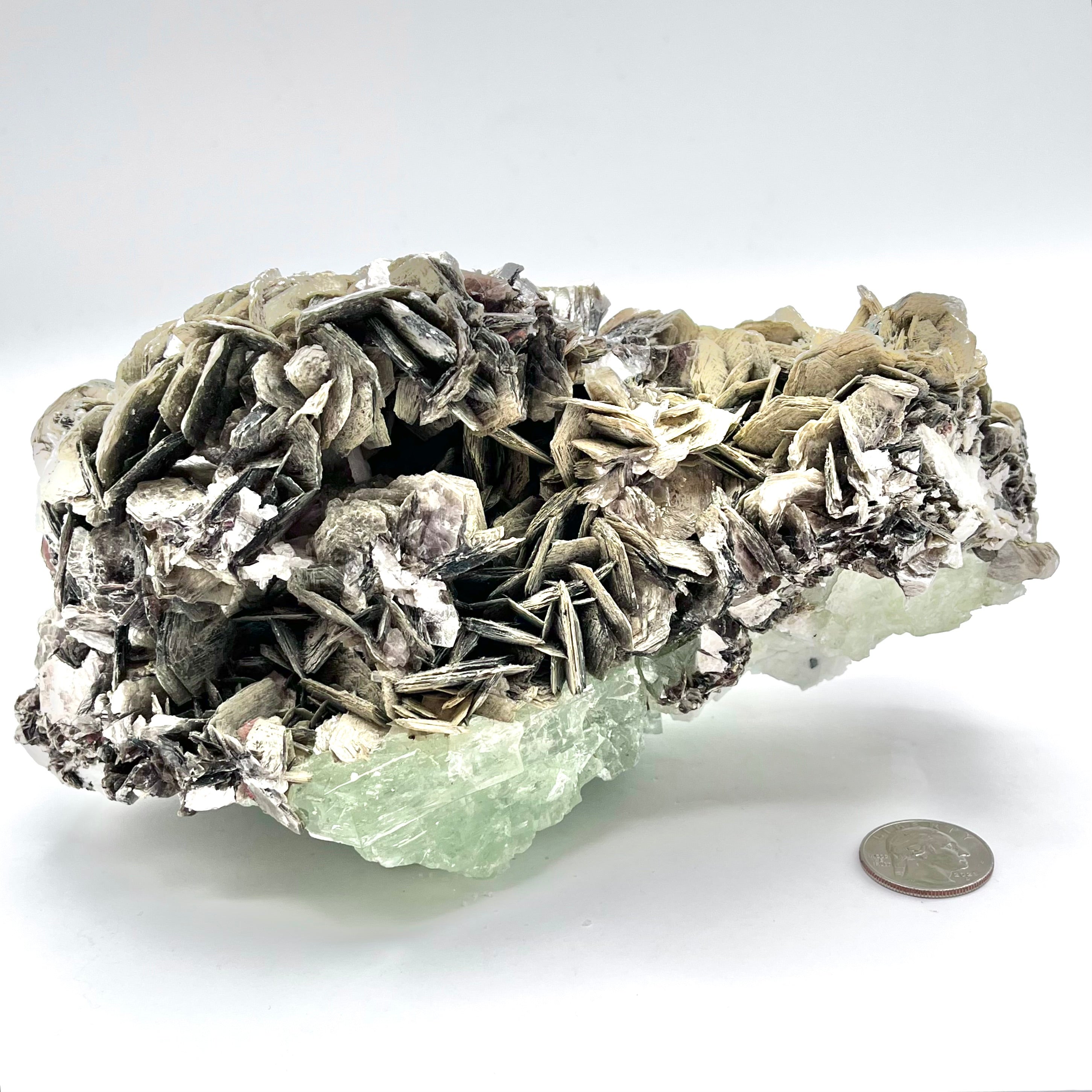 Exquisite Aquamarine Cluster w/ Mica & Clevelandite