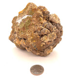 Ocean Jasper