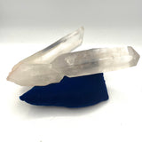 Extraordinary Lemurian Twin- Self Healed