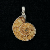 Ammonite Pendant