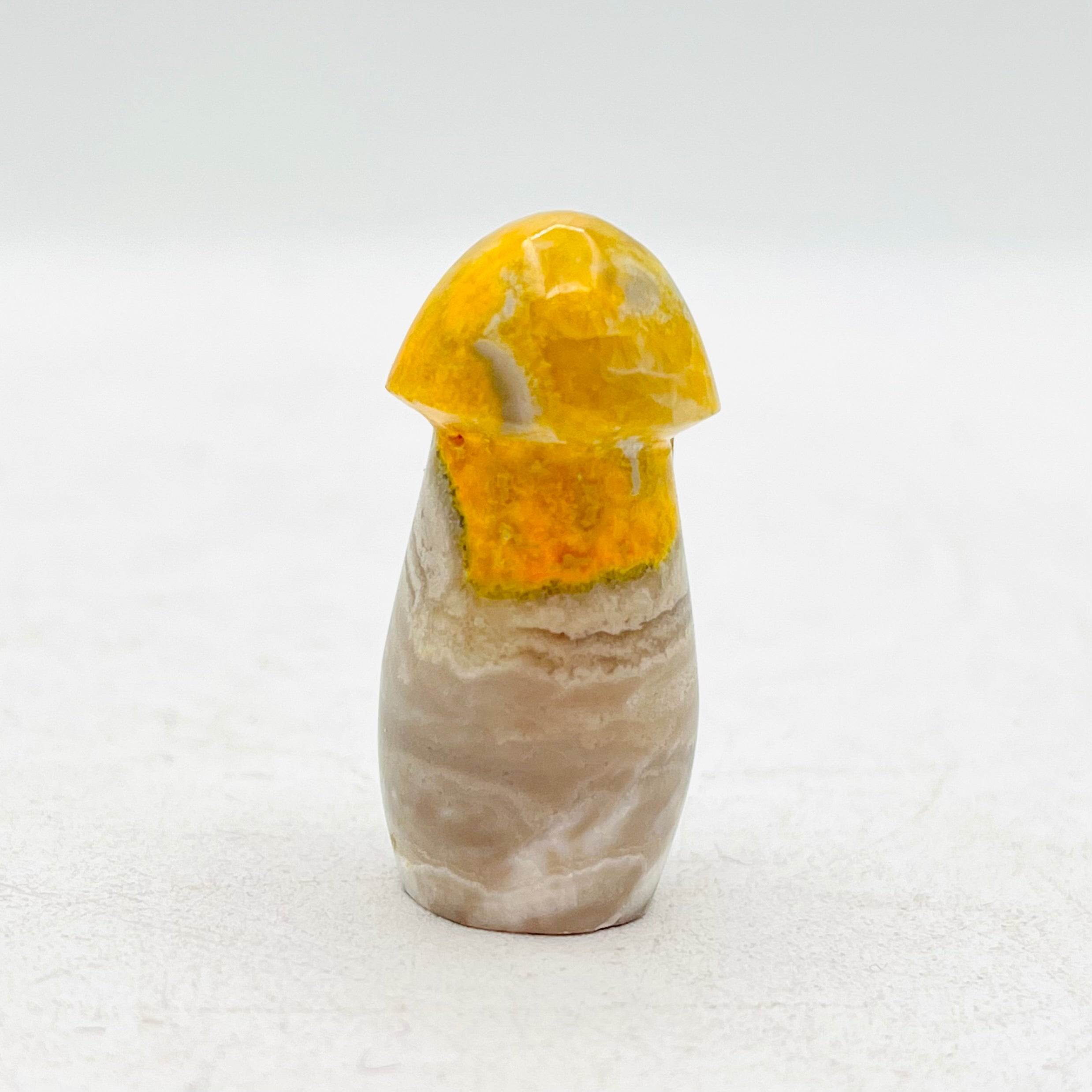 Bumblebee Jasper Mushroom