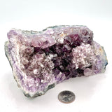 Amethyst w/ Flower in Matrix