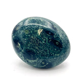 Kambaba Jasper Palmstone 2.5”