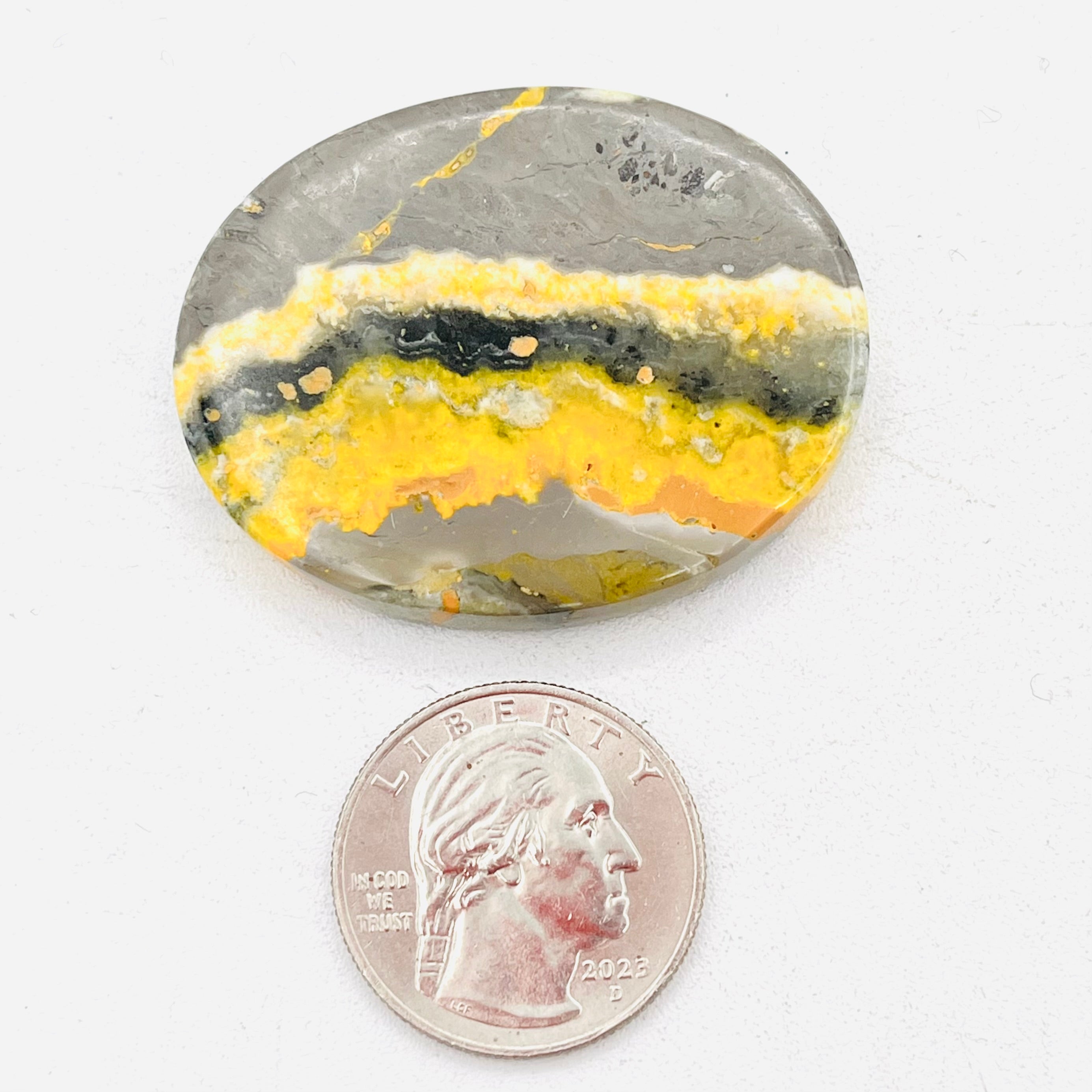 Bumble Bee Jasper Palm Stone