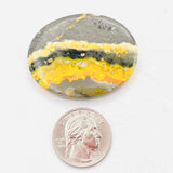 Bumble Bee Jasper Palm Stone