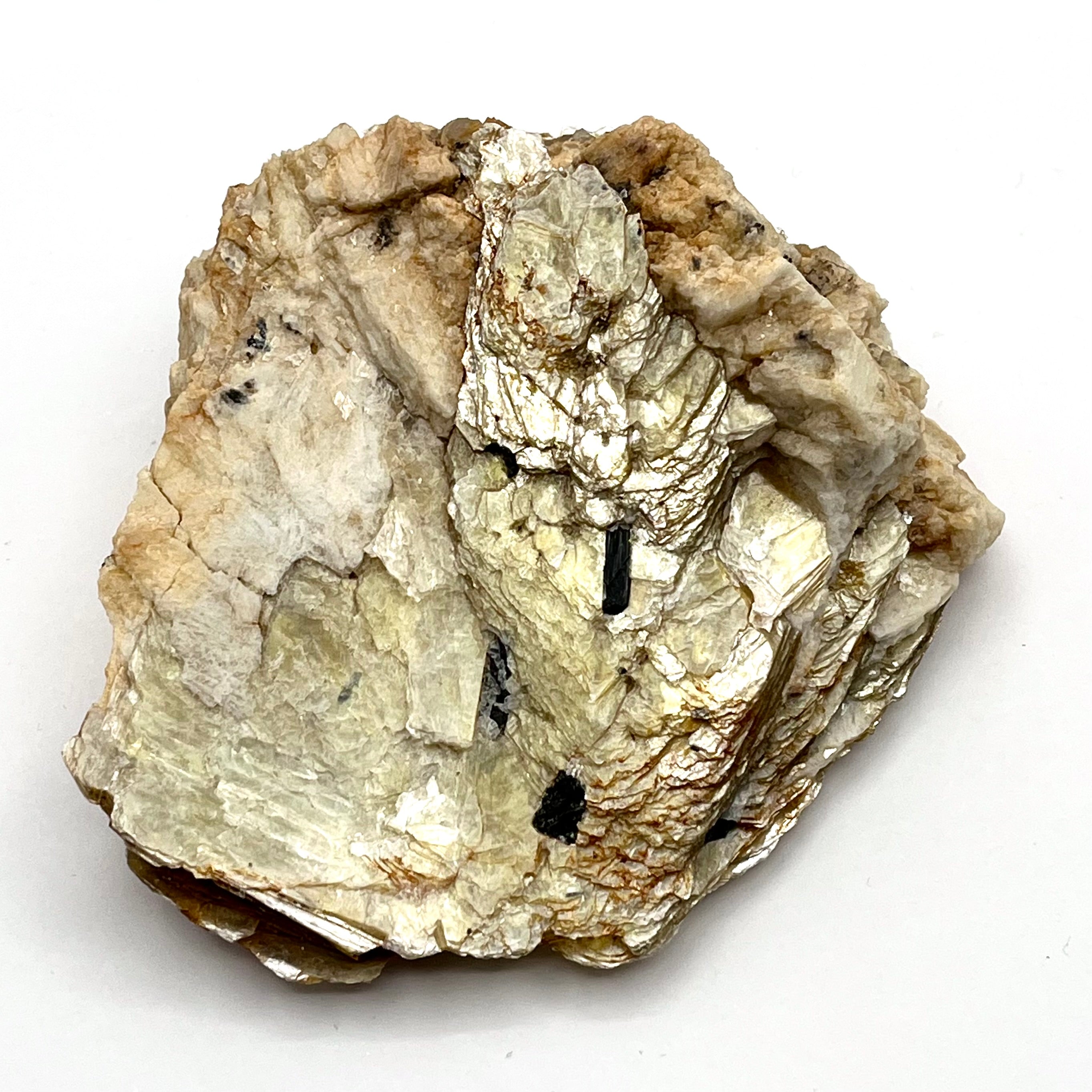 Gold Mica Sheet w/ Muscovite & Black Tourmaline