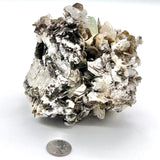 Exquisite Aquamarine Cluster w/ Mica & Clevelandite