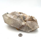 Gorgeous Quartzcite w/ Mica & Beautiful Green Tourmaline Beryl- Double Terminated
