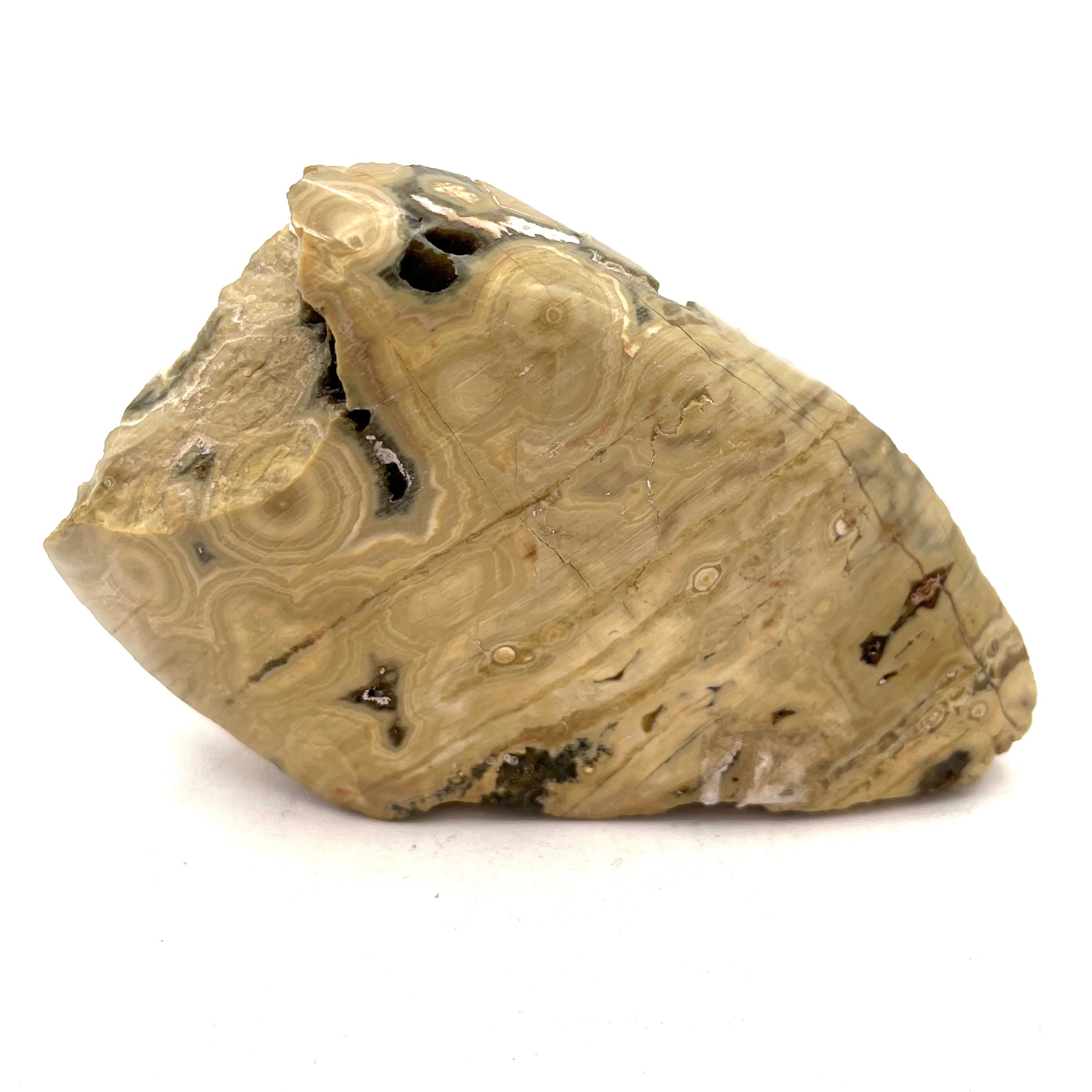 Ocean Jasper