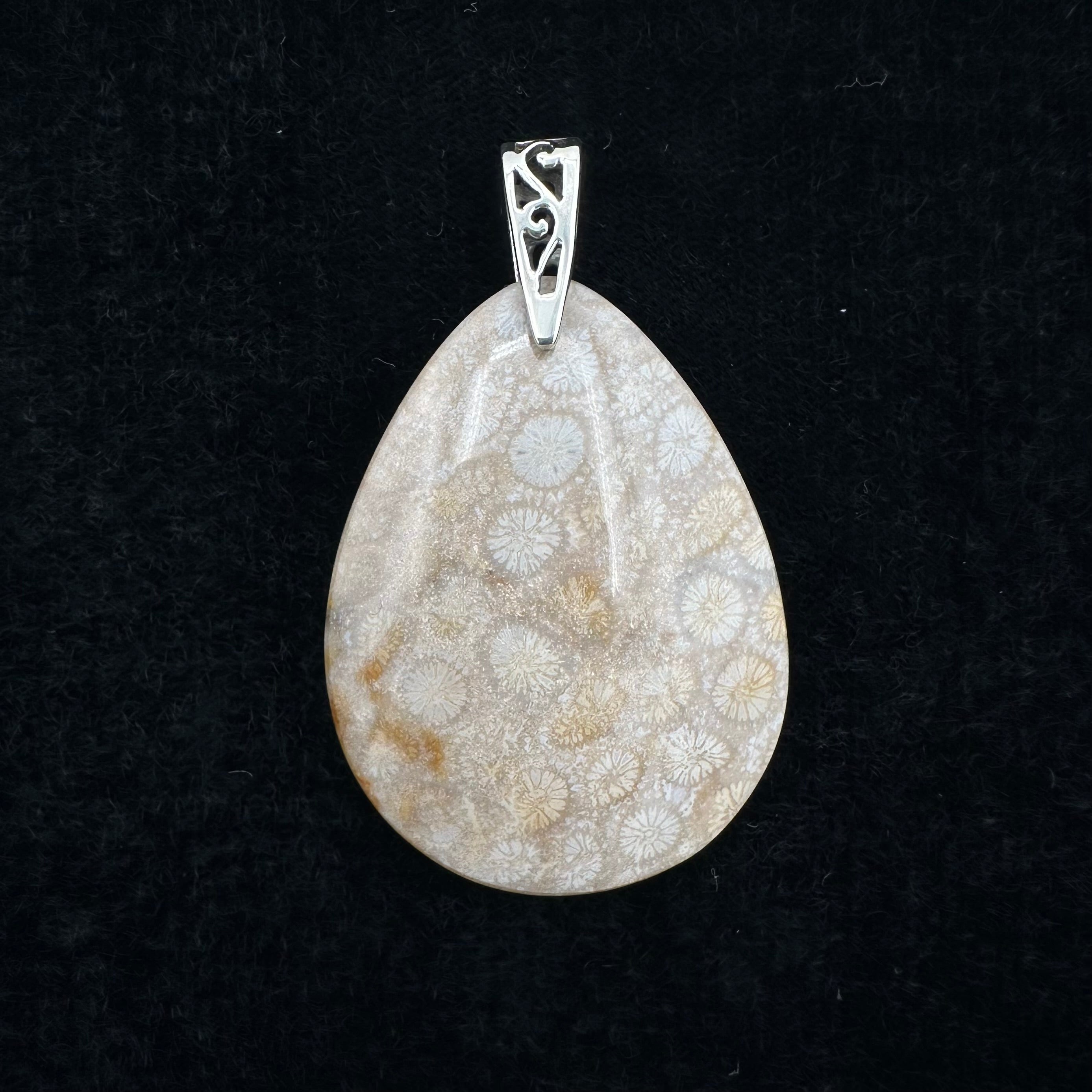 Fossilized Coral Pendant