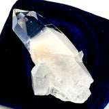 Powerful Colombian Lemurian Clear Point