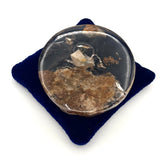 Scenic Inclusion Quartz