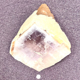 Rare Gorgeous, Large Purple Fluorite Nested in Calcite Matrix