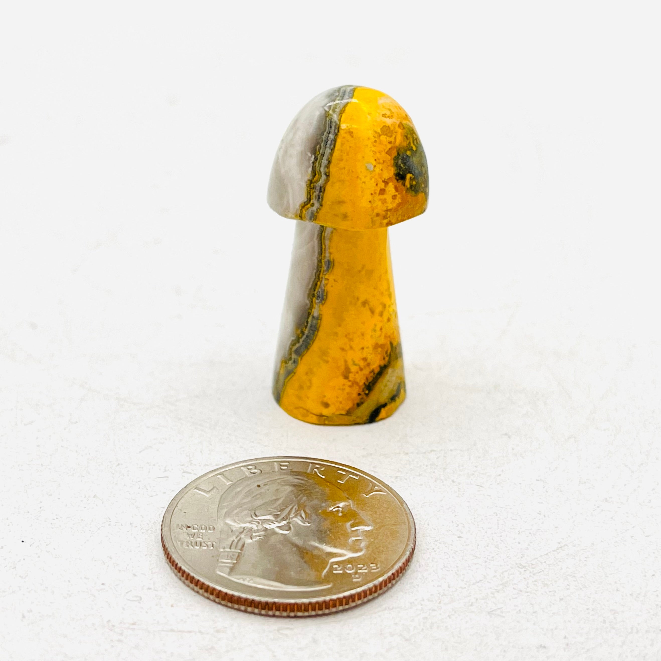 Bumblebee Jasper Mushroom
