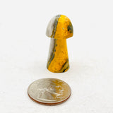 Bumblebee Jasper Mushroom