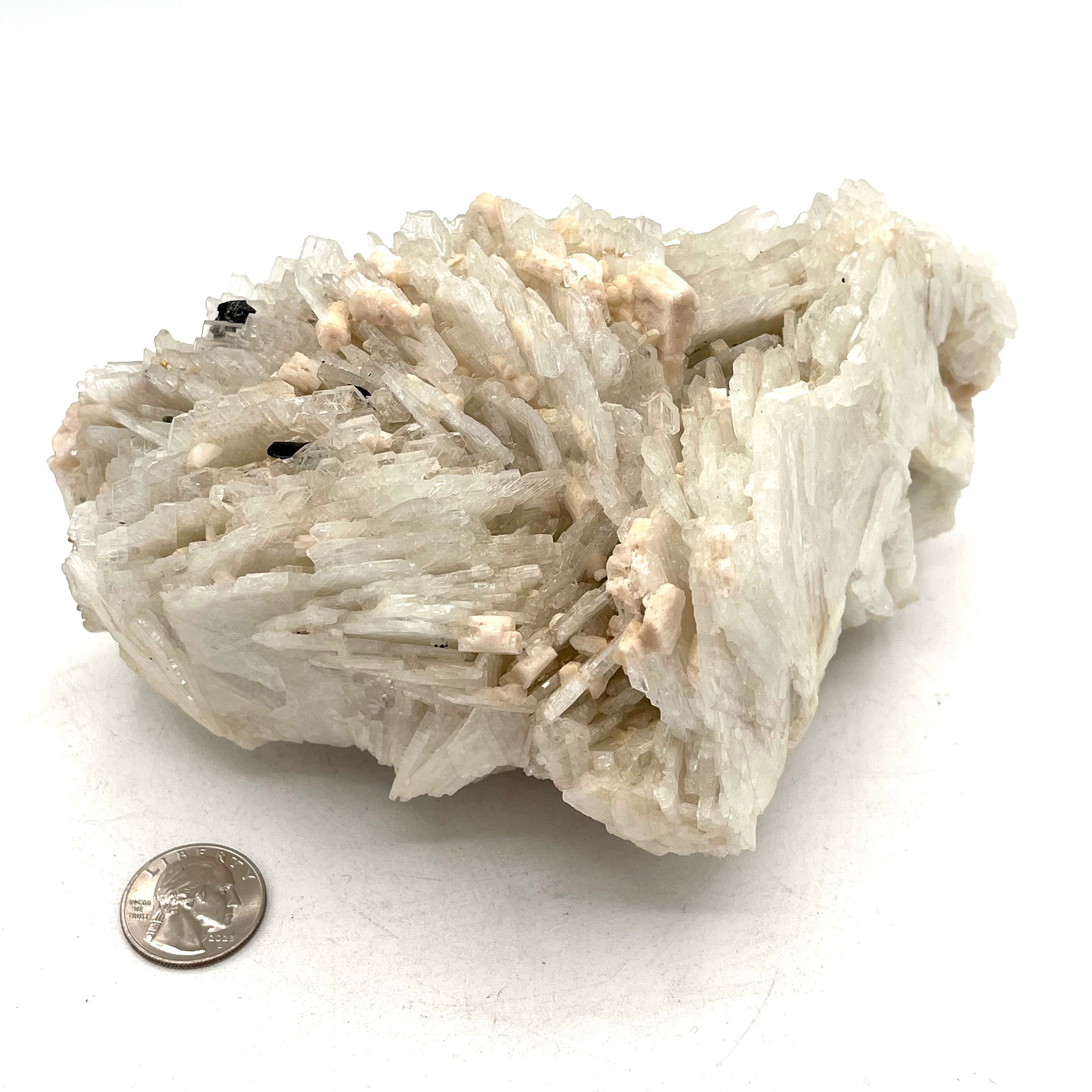 Stunning Gypsum Selenite Angel Wing Cluster w/ Stilbite, Black Tourmaline& Mica