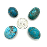 Polished Turquoise with Pyrite 14-16g