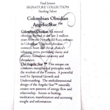 Colombian Obsidian Angelic Star Necklace- Paul Jensen Signature Collection