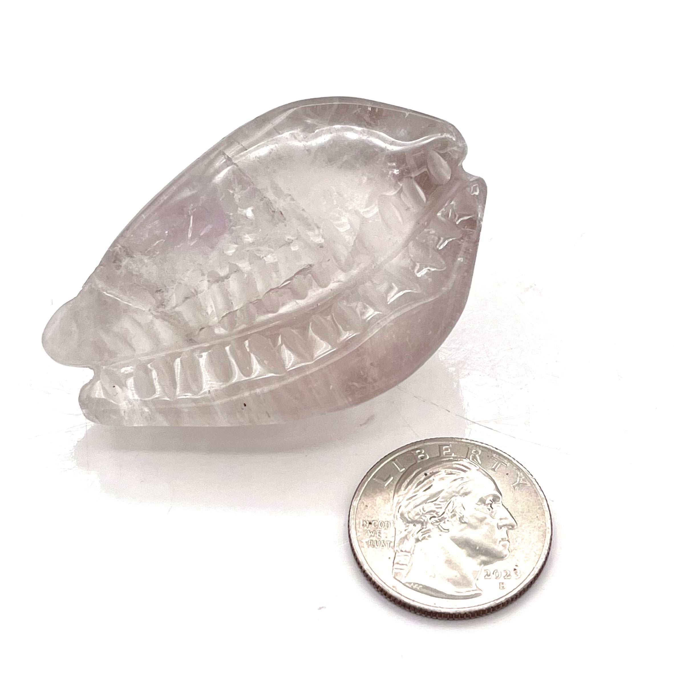 Amethyst Seashell Carving