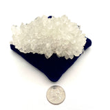 Clear Apophyllite Cluster