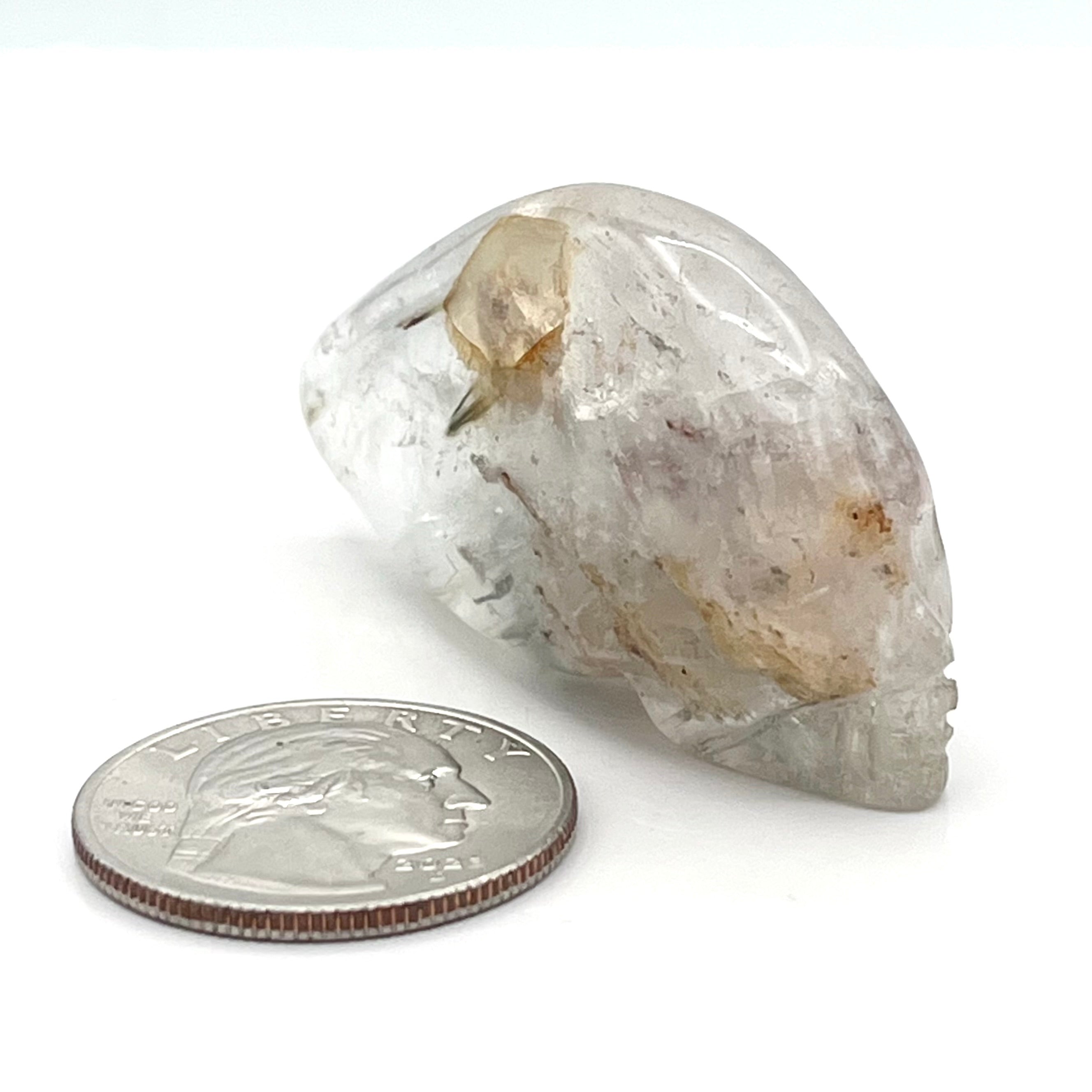 Smoky Quartz w/ Golden Healer Traveler Skull