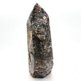 Exquisite Skeletal Smoky Quartz