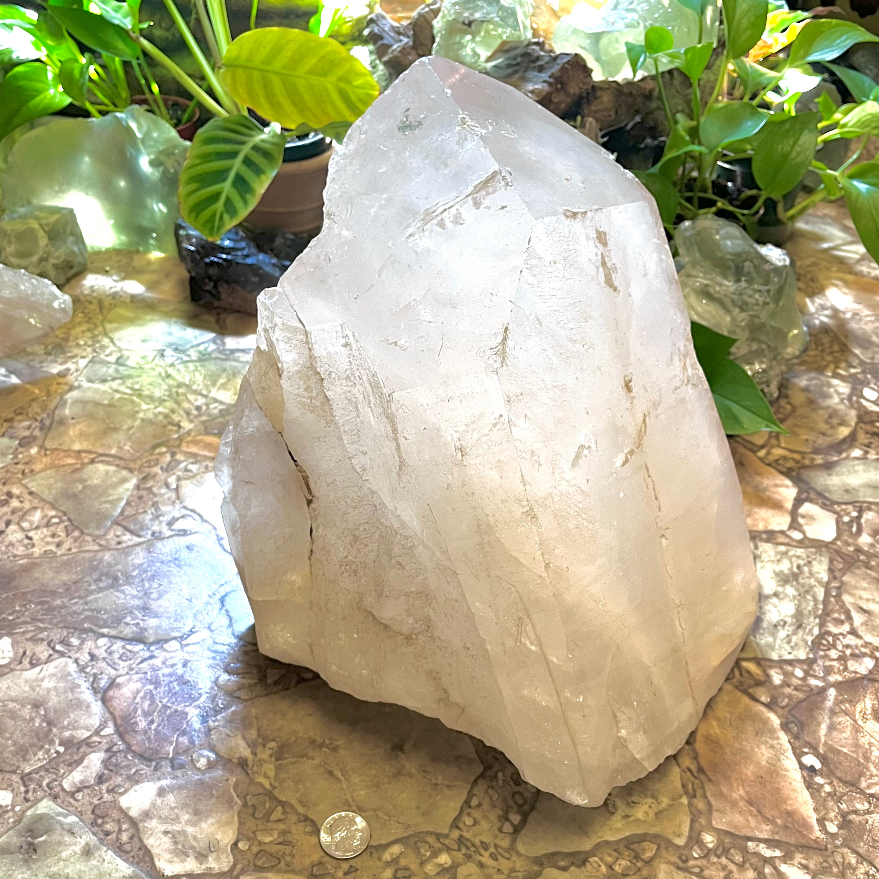 Stunning Raw Quartz Point