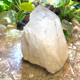 Stunning Raw Quartz Point