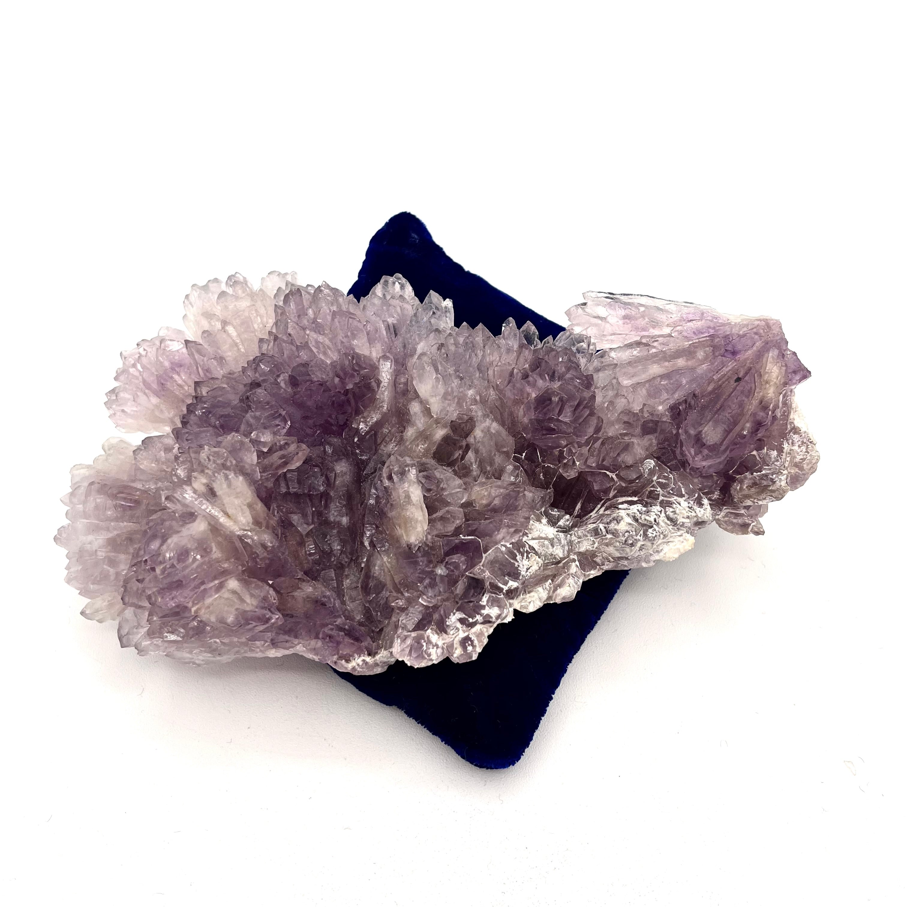 Angel Wing Amethyst