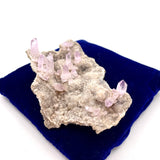 Vera Cruz Amethyst
