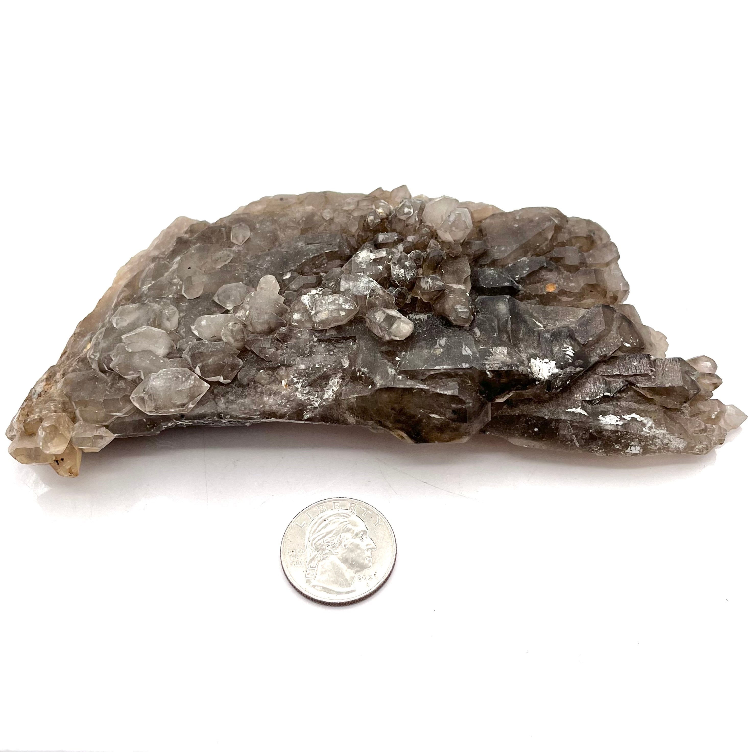 Smoky Quartz Alligator Elestial