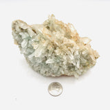Chlorite Quartz